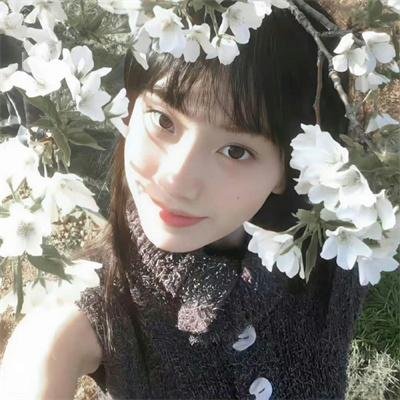 梦寻桃花源