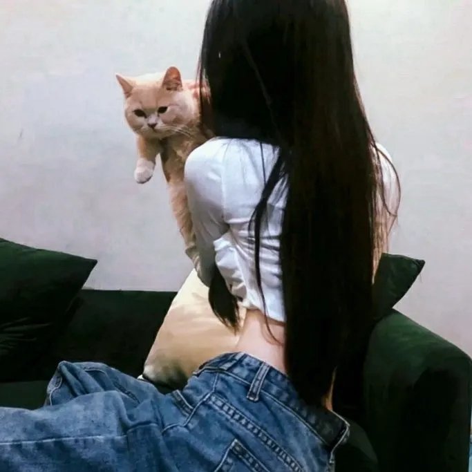 美国田园下的罪恶